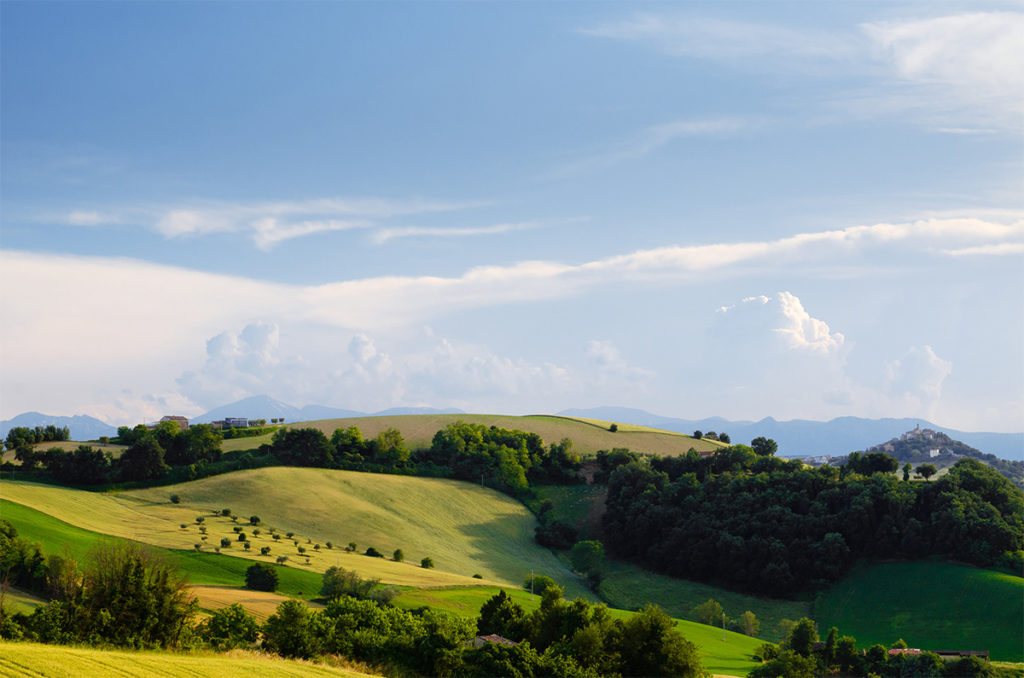 countryside